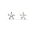 18 K Rose Gold