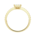 18 K Yellow Gold